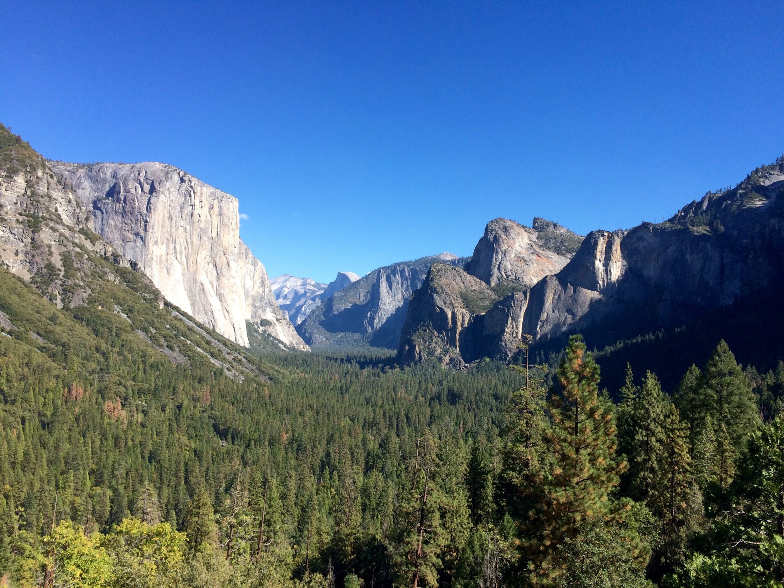 Yosemite National Park featuring El Capitan on the left
