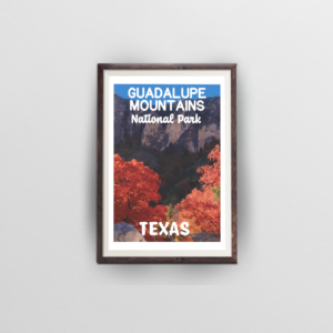 guadalupe national park poster brown frame white background