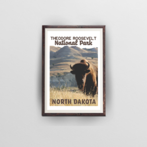 theodore roosevelt national park brown frame white background