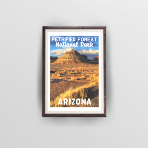 petrified forest national park poster brown frame white background