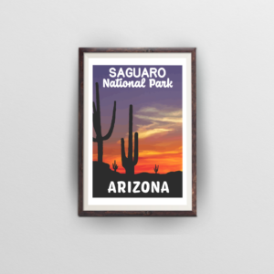 saguaro national park brown frame white background