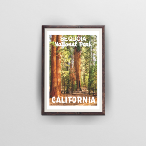 sequoia national park poster brown frame white background